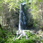 Zünftige Tour auf dem Albsteig ab Bad Urach